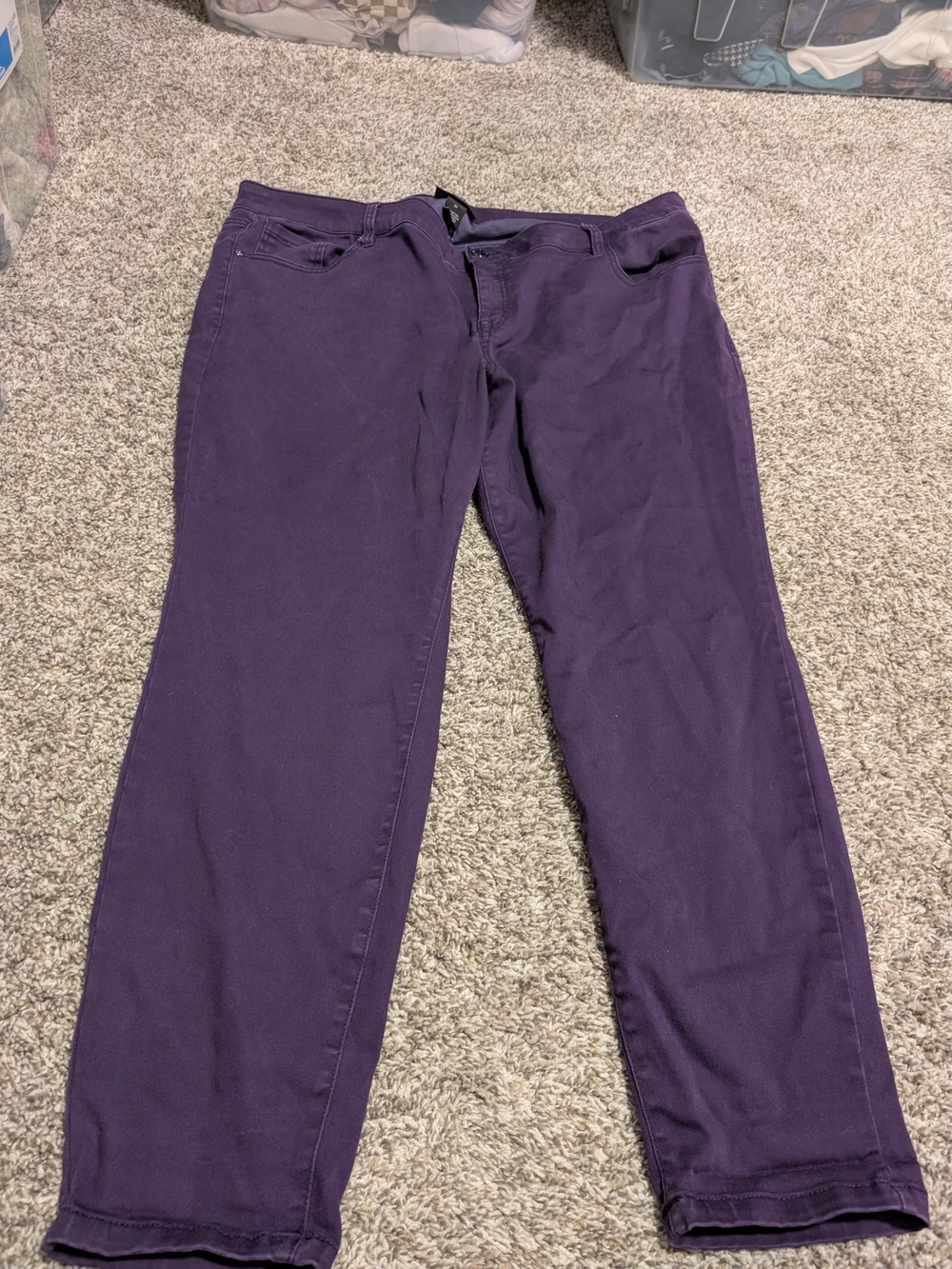 Lane Bryant Straight-Leg Pants in Plum